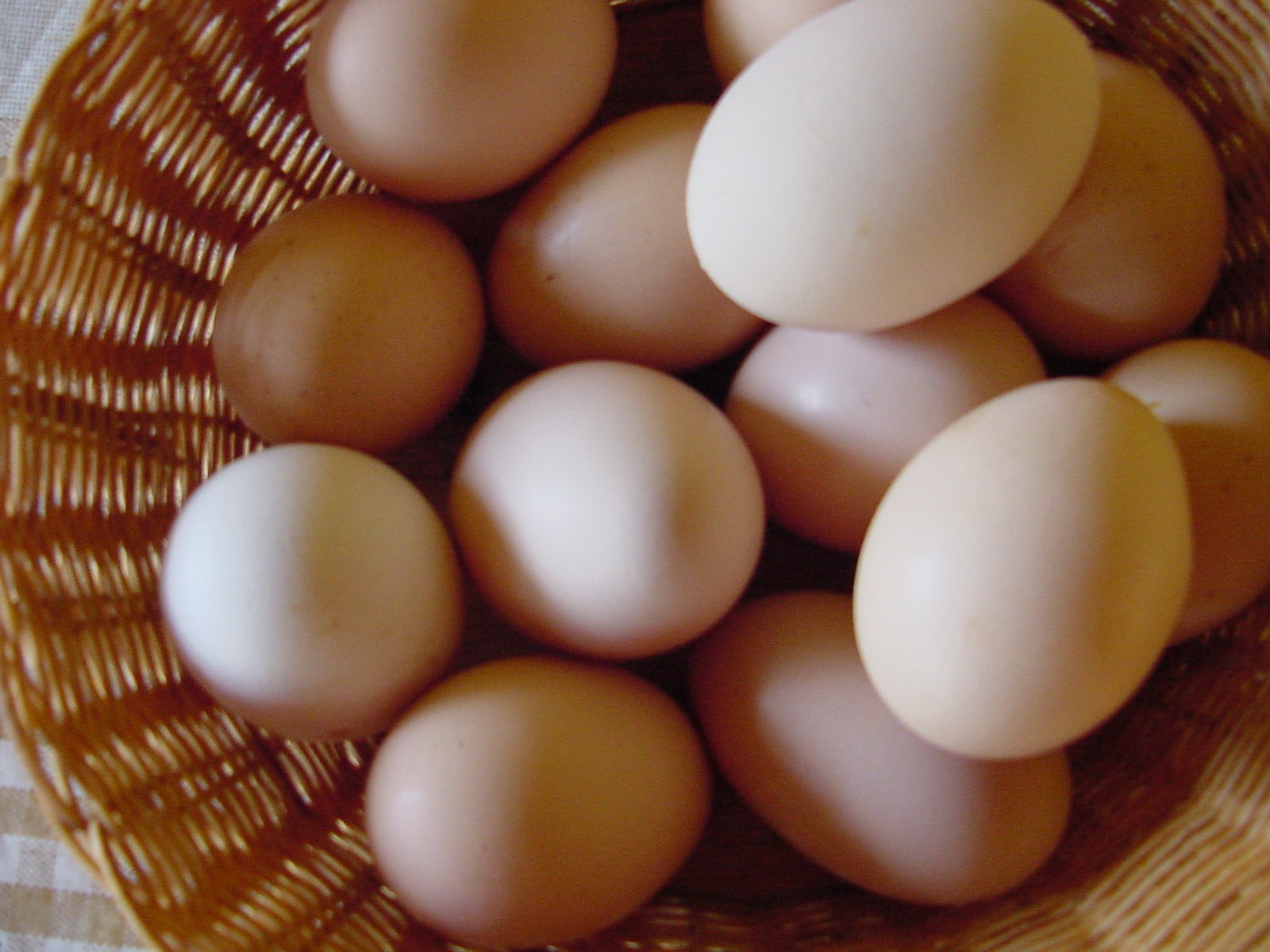 A clara de ovo ajuda a manter a pele rígida e hidratada.