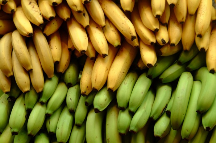 As bananas ajudam a manter o seu colesterol dentro da normalidade.