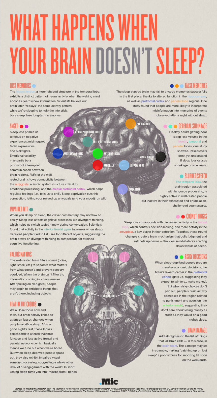 Veja o que acontece com o seu cérebro quando você está com sono.