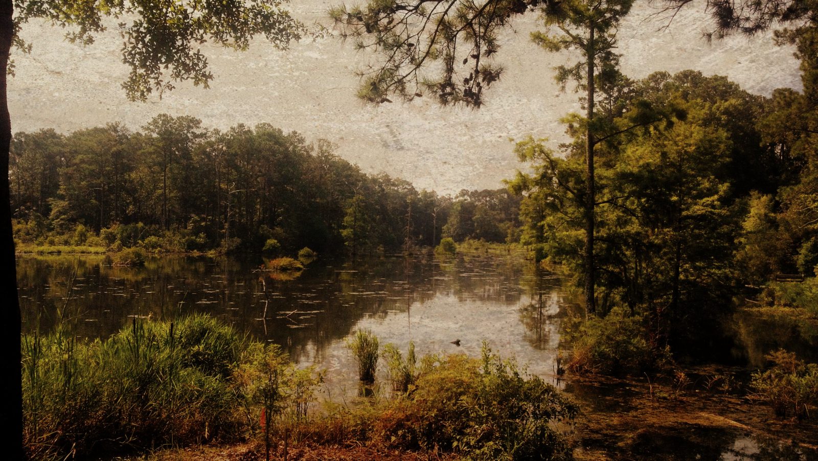 Foto do arquivo de Hery David Thoreau do lago Walden.